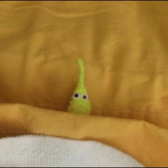 Meet your Posher, Olivia - Picture 1 of 1